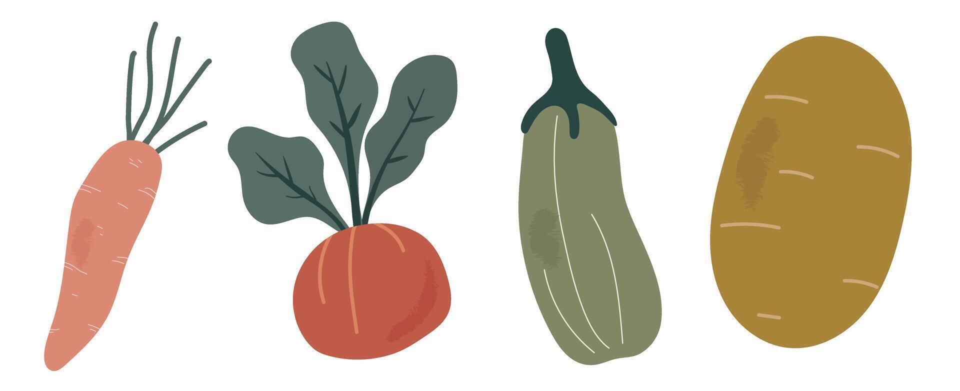 Set of Vegetables Graphic Illustration, Produce from the Garden, Harvest Vegetable Clipart, Graphic Illustration vector