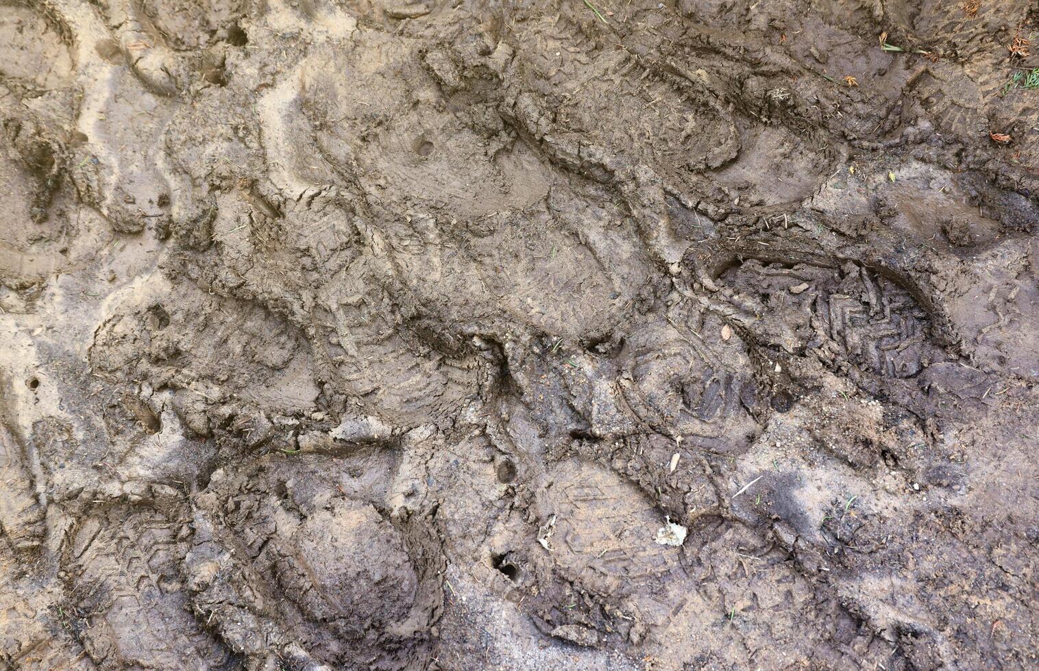 Foot mark on the jungle trail. Shoe prints on wet gravel or mud in mountain area photo