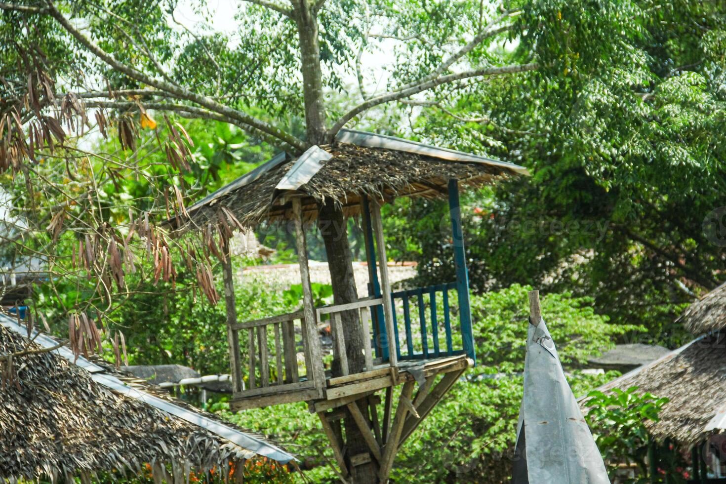 Simple buildings and huts made of wood and roofs made of sago leaves photo