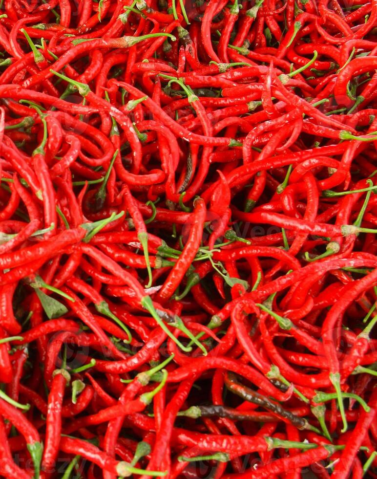 Photographed fresh red chilies fill the screen photo