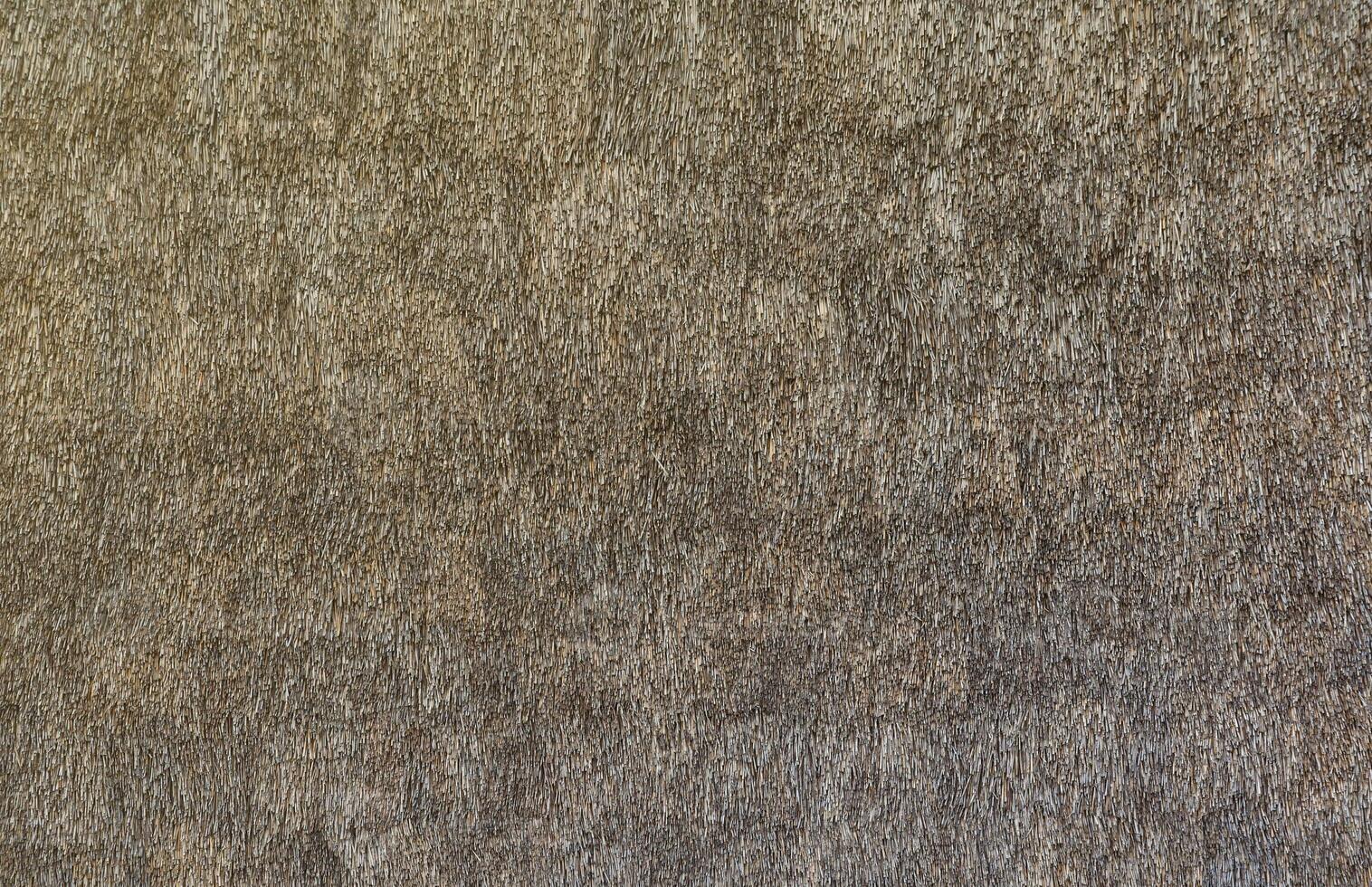 Texture of hay bale background or dry grass background. Textured hay bale background for countryside, rural area photo