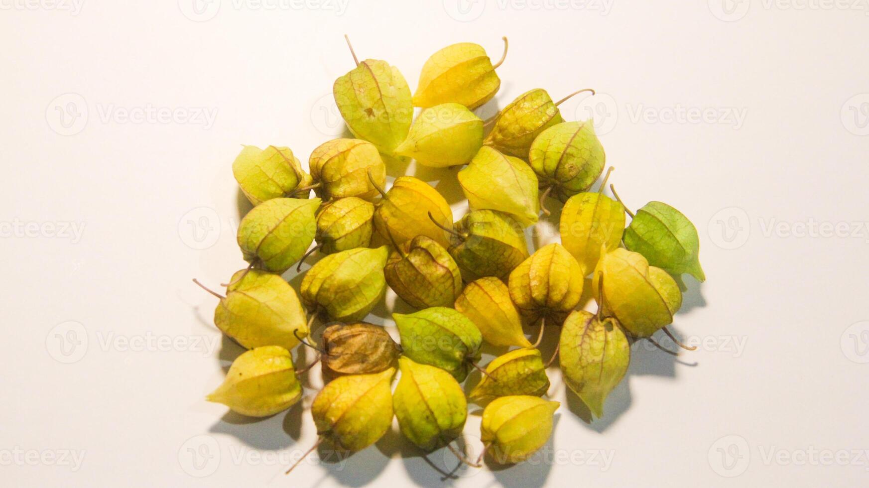 Ripe Ciplukan fruit isolated on a white background photo