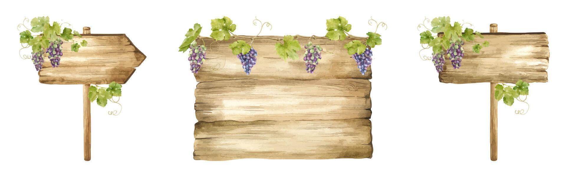 Set of Wooden signboards for grape plantations, vineyards. Wood boards with bunches of grapes, leaves.Signboard with grapevine. Isolated watercolor illustrations For postcards, marketing, invitations. vector