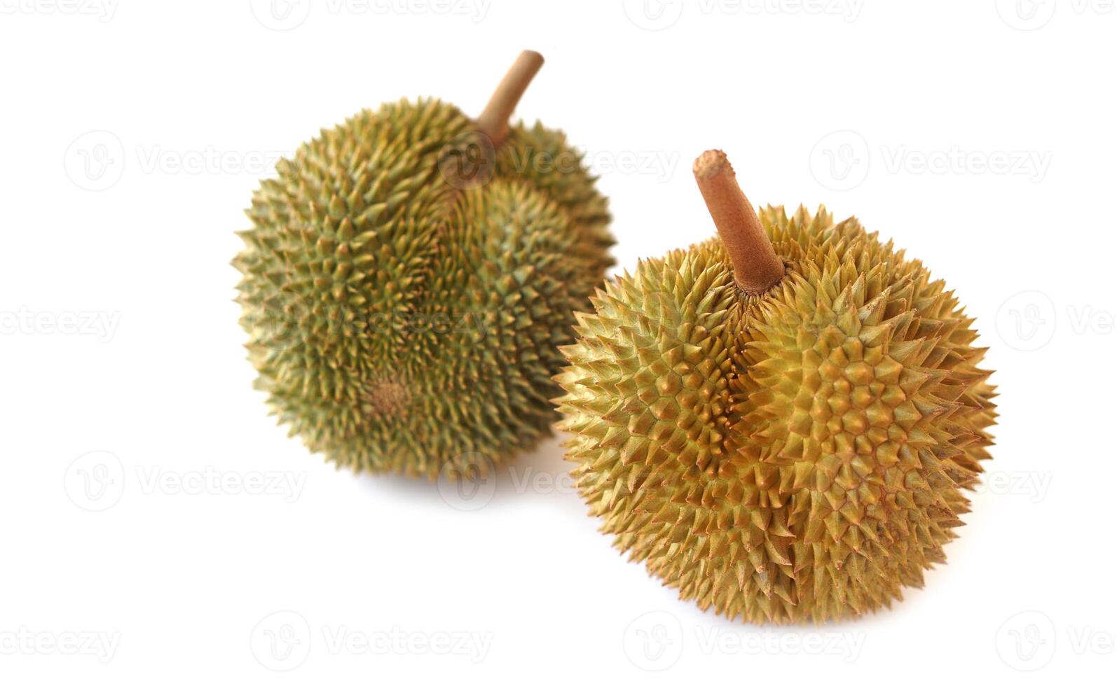 Durian fruits, isolated on white background. Concept, Tropical and seasonal fruit in Thailand. Agriculture crops. There are different breeds in Thailand. King of fruits. photo