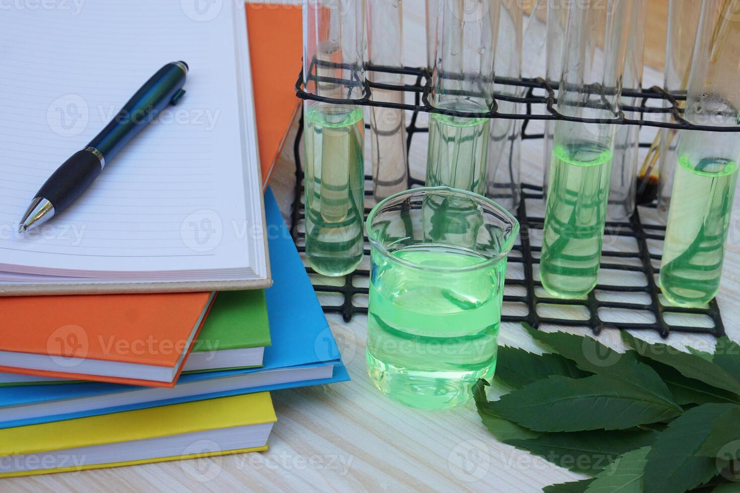 Pile of books, pen, glass test tubes for doing science experiment about extraction color of leaves. Concept, Educational equipment. Teaching materials for science subject. Science tool kits for teach photo