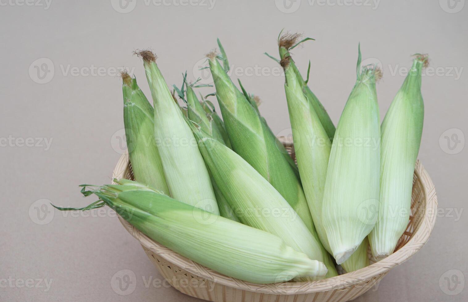 Green fresh organic corns in basket.Thai local breed. Favorite for The northern farmers grow for boil or steam or cook for Thai traditional dessert. Concept, agriculture crops products. photo