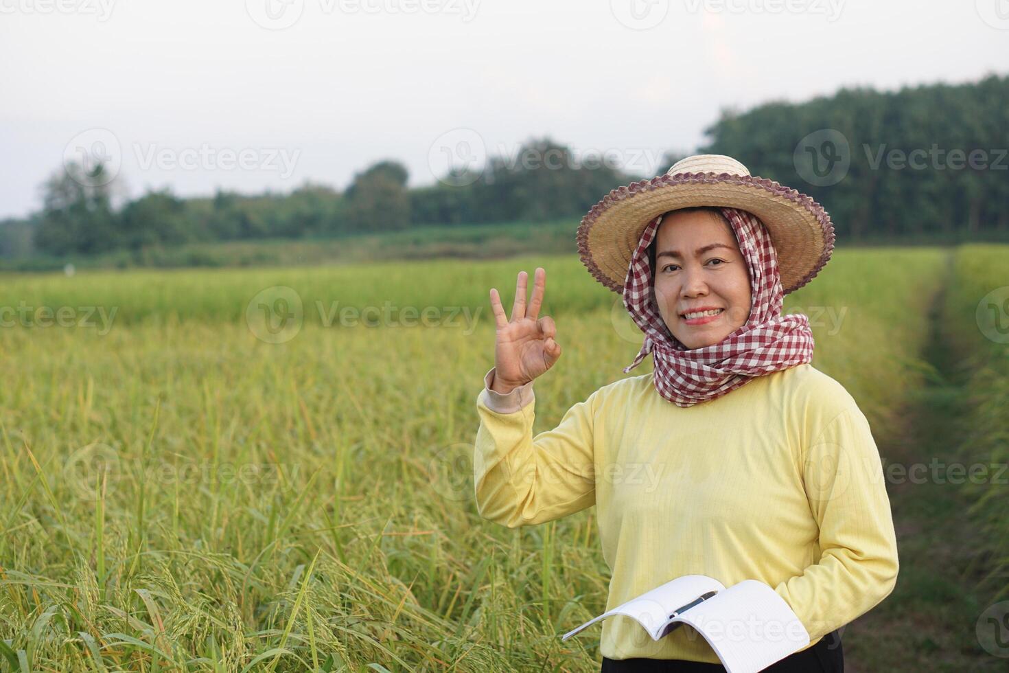 asiático mujer granjero es a arrozal campo, usa sombrero, amarillo camisa, sostiene cuaderno papel, inspecciona crecimiento y enfermedad de plantas. concepto, agricultura investigación y estudiar a desarrollar cosecha foto