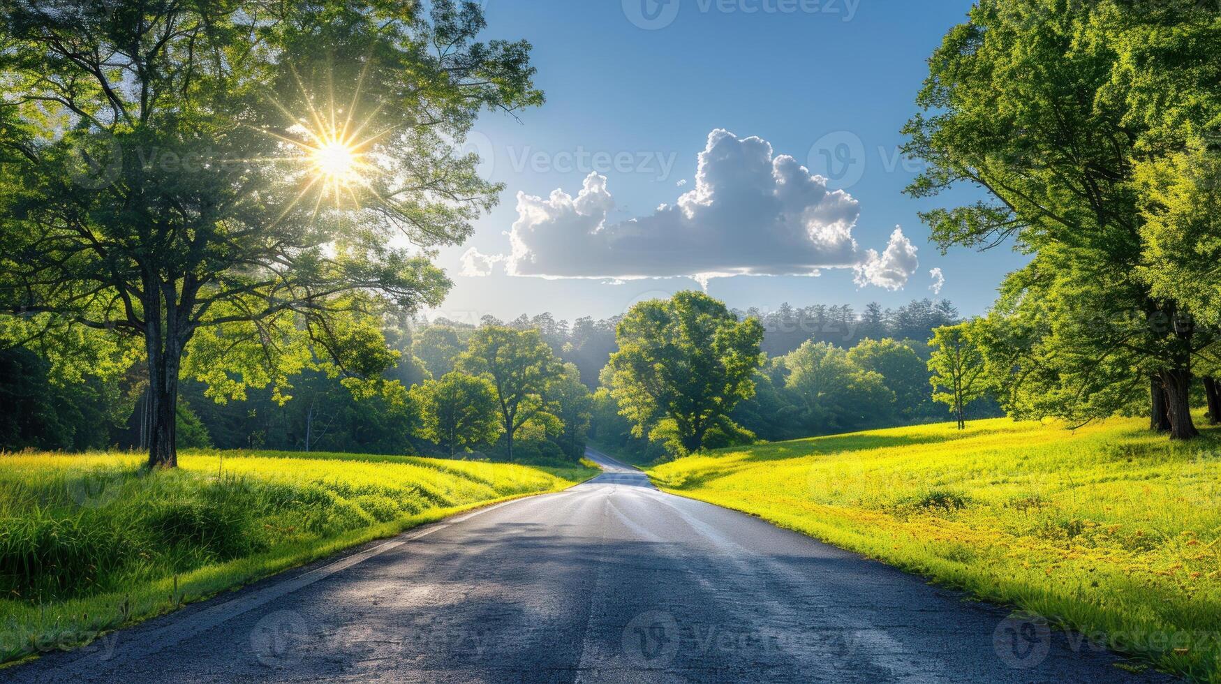 The sun shines intensely on a rural road, lighting up the scene photo