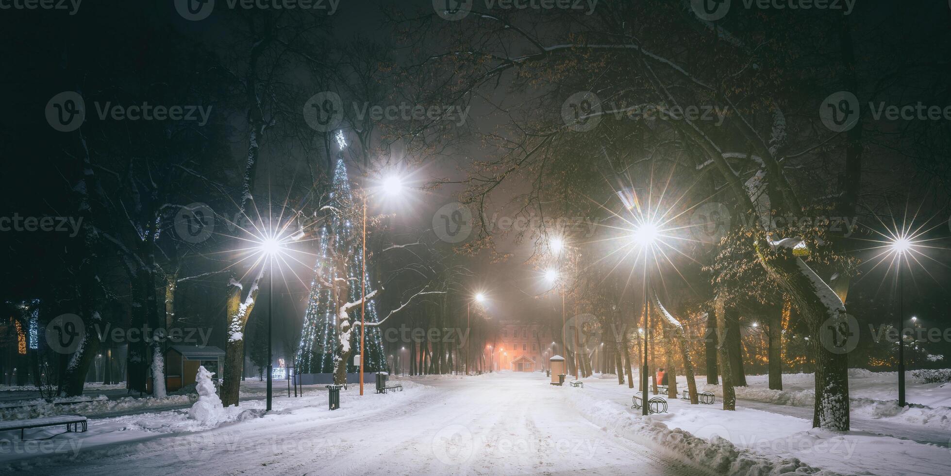 invierno parque a noche con Navidad decoraciones, brillante linternas y arboles cubierto con nieve. Clásico película estético. foto