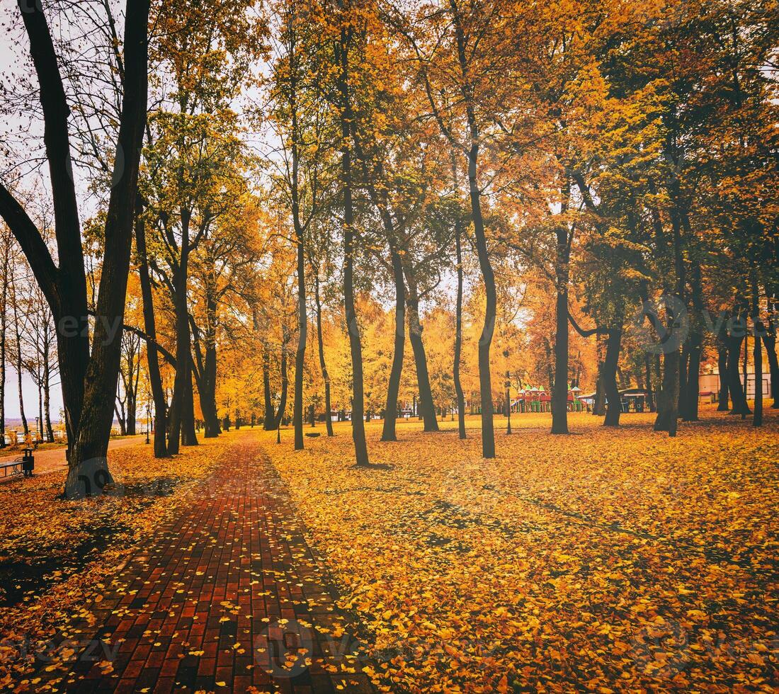 Golden autumn in a city park with trees and fallen leaves on a cloudy day. Vintage film aesthetic. photo