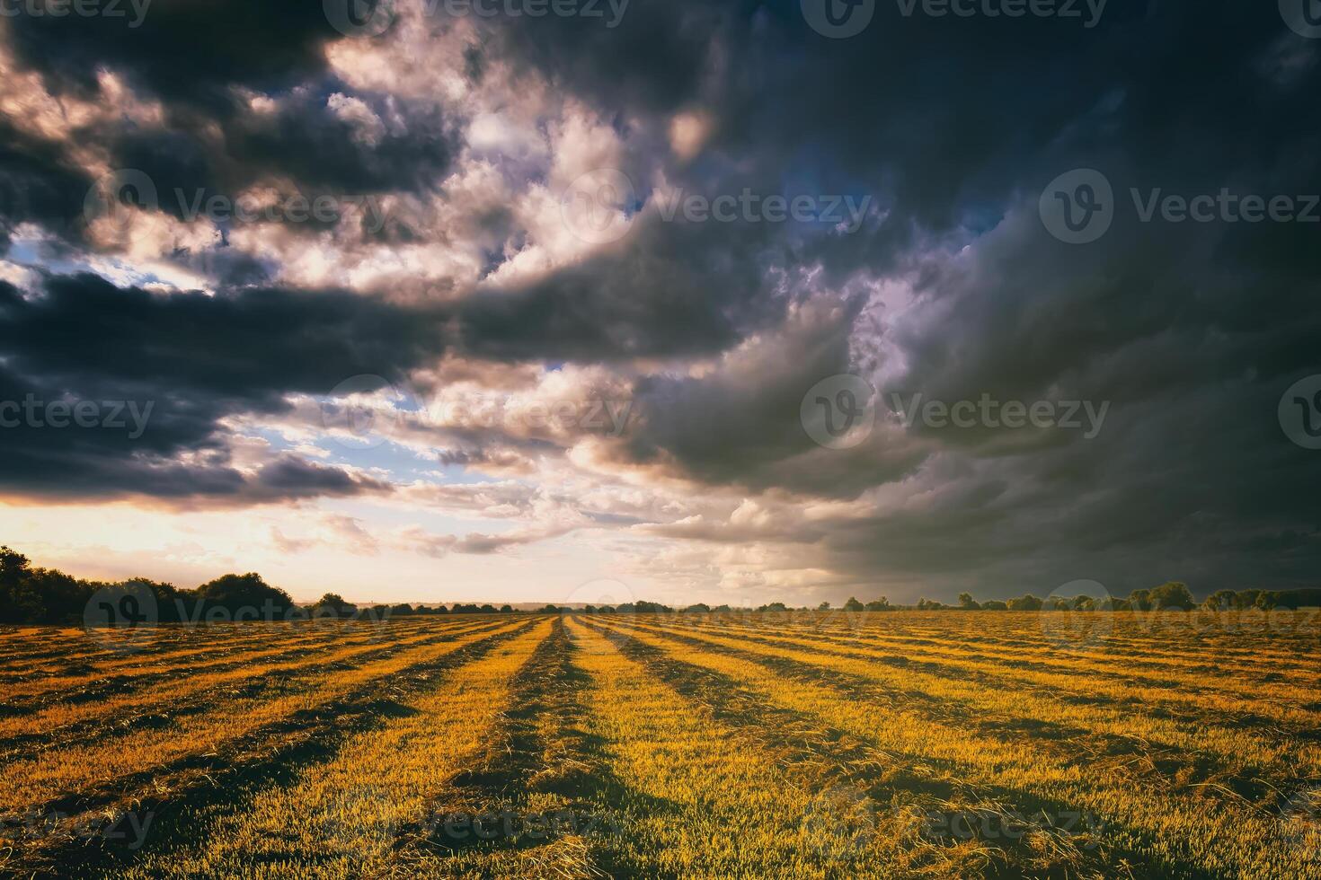 Sunset at cultivated land in the countryside on a summer evening with cloudy sky background. Vintage film aesthetic. photo