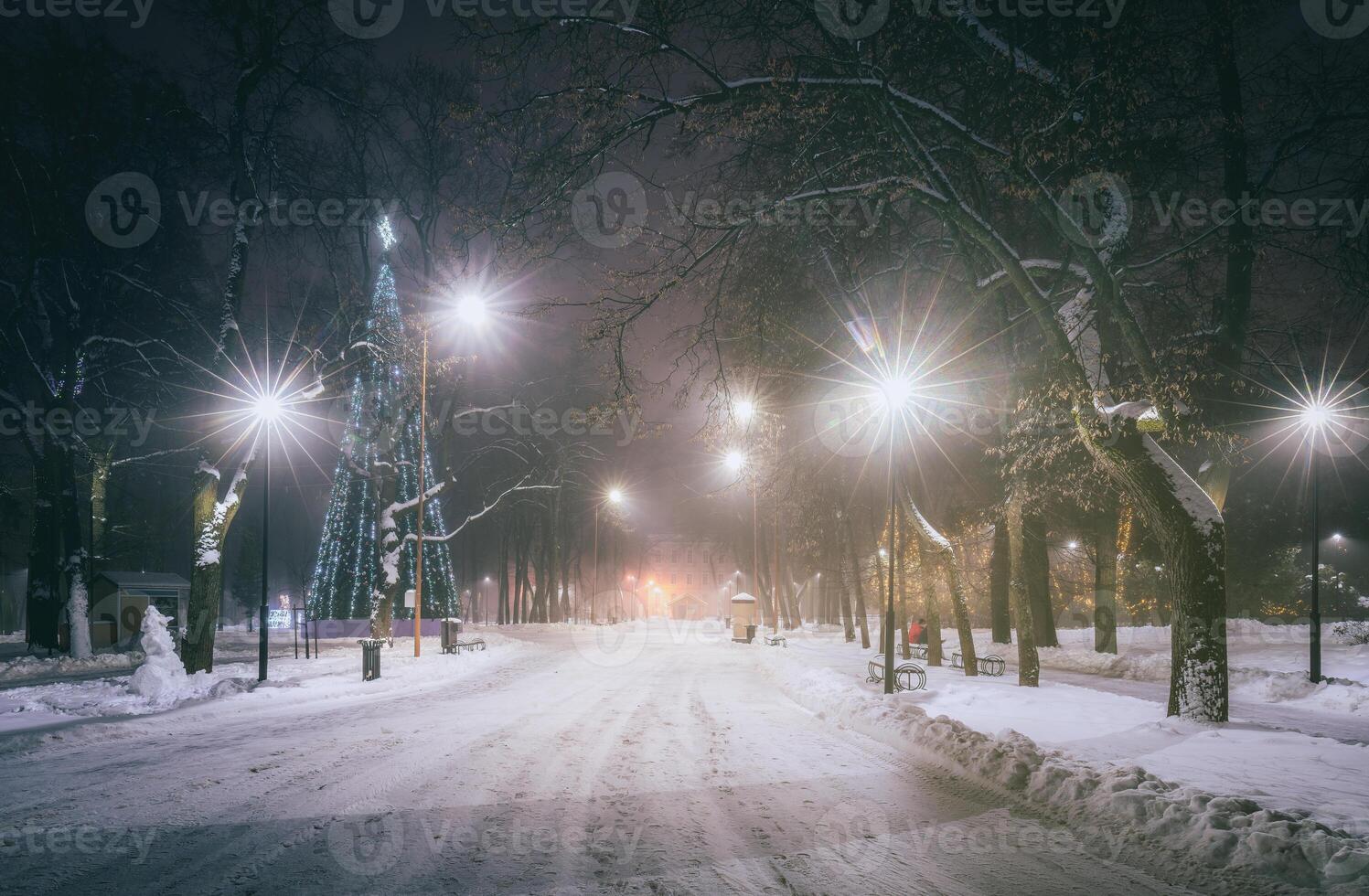 Winter park at night with christmas decorations, glowing lanterns and trees covered with snow. Vintage film aesthetic. photo