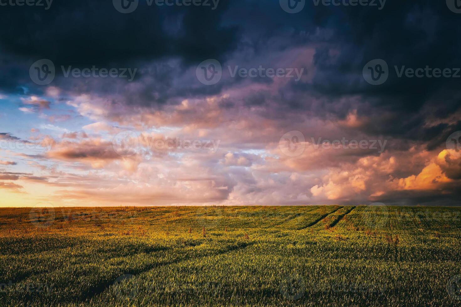Sunset or dawn in a rye or wheat field with a dramatic cloudy sky during summertime. Aesthetics of vintage film. photo