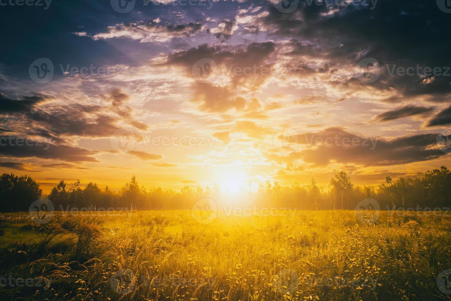 Sunrise on a field covered with wild flowers in summer season with fog and trees with a cloudy sky background in morning. Vintage film aesthetic. photo