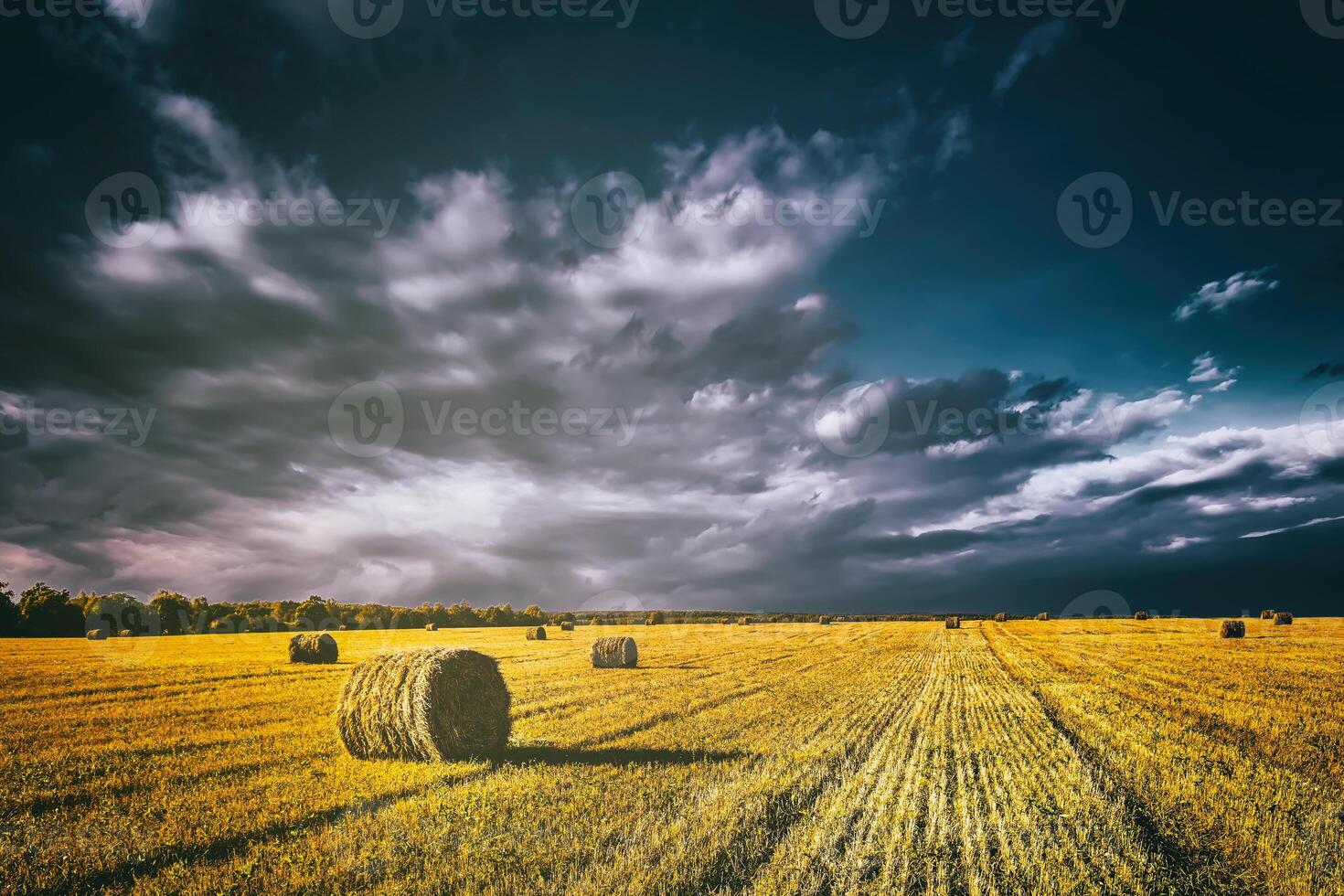 A field of a haystacks on an autumn day, illuminated by sunlight, with rain clouds in the sky. Vintage film aesthetic. photo