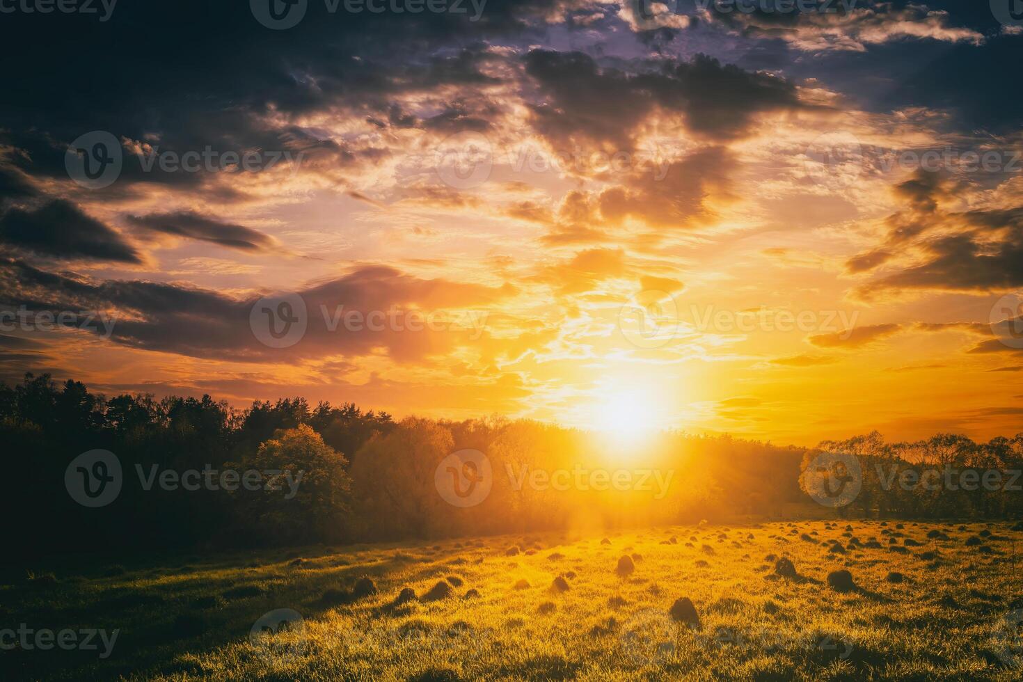 puesta de sol o amanecer en un primavera campo con verde césped, sauce arboles y nublado cielo. Clásico película estético. foto