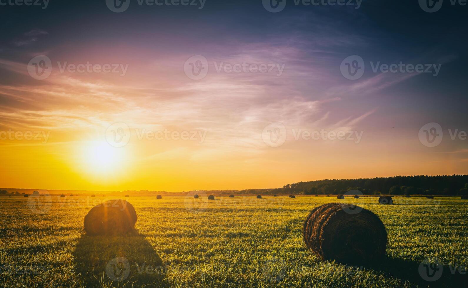 A field with haystacks on a summer or early autumn evening with a cloudy sky in the background. Procurement of animal feed in agriculture. Vintage film aesthetic. photo