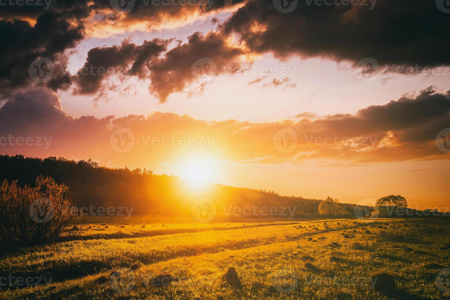 Sunset or sunrise in a spring field with green grass, willow trees and cloudy sky. Vintage film aesthetic. photo