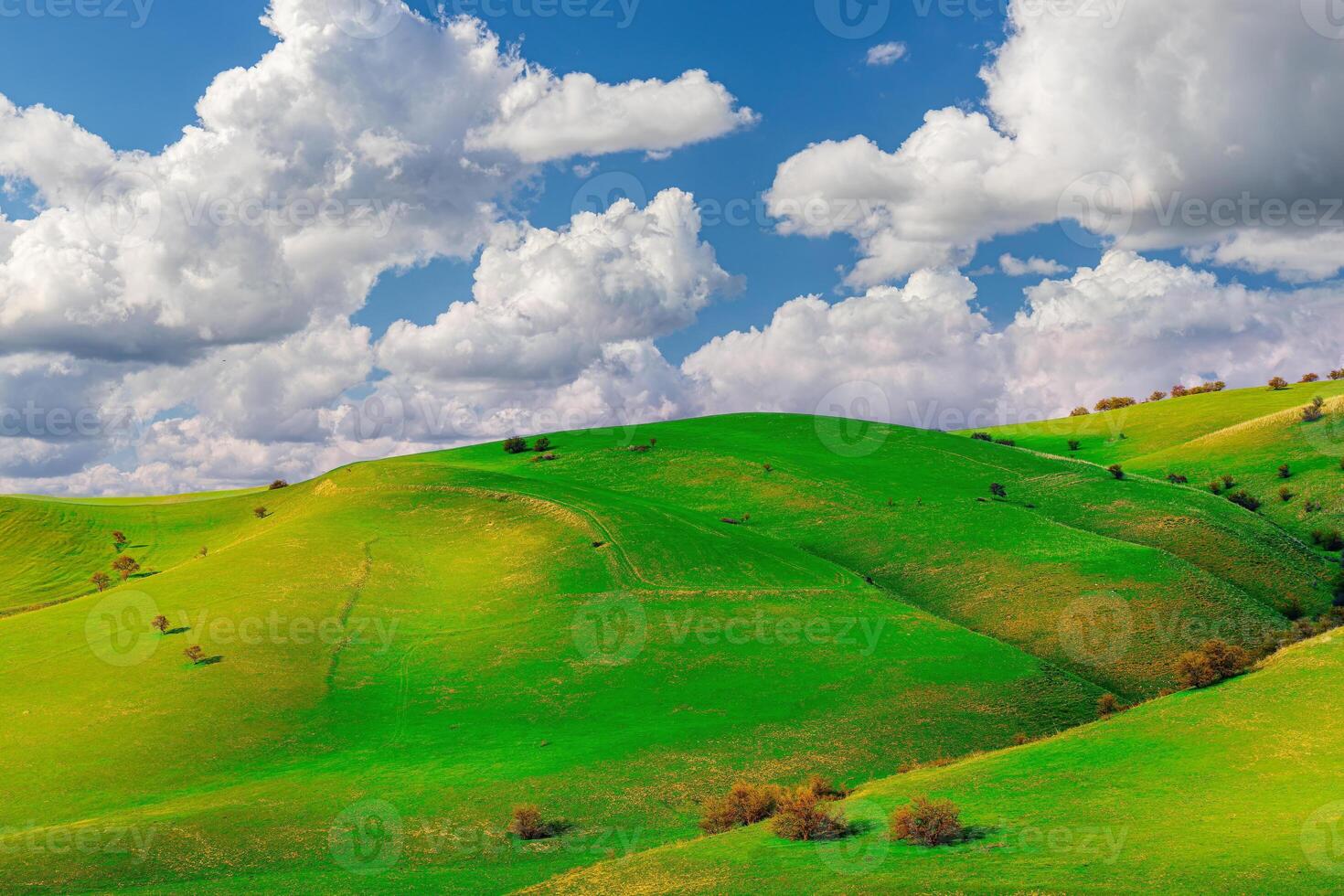 Hills and mountains covered with young green grass and illuminated by the sun on a sunny day. photo