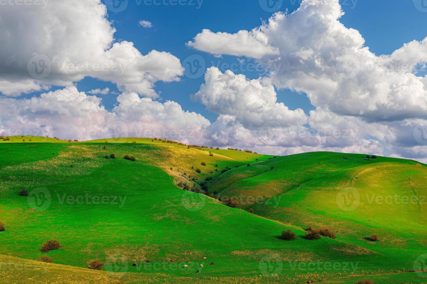 Hills and mountains covered with young green grass and illuminated by the sun on a sunny day. photo