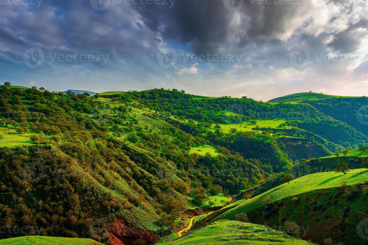 Hills and mountains covered with young green grass and illuminated by the sun on a sunny day. photo