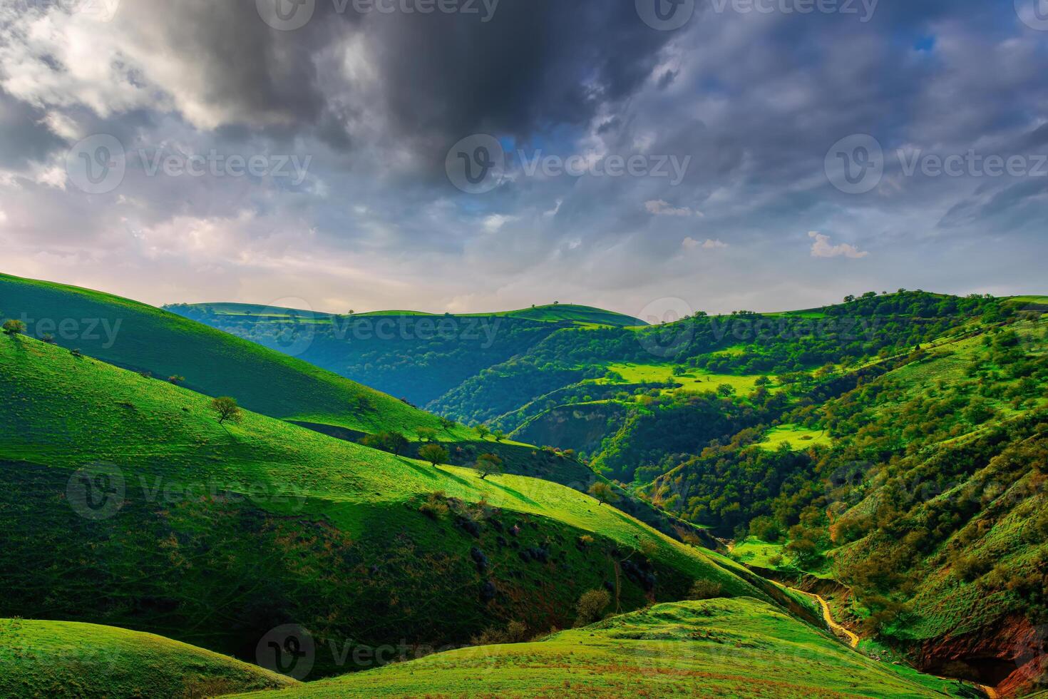 Hills and mountains covered with young green grass and illuminated by the sun on a sunny day. photo