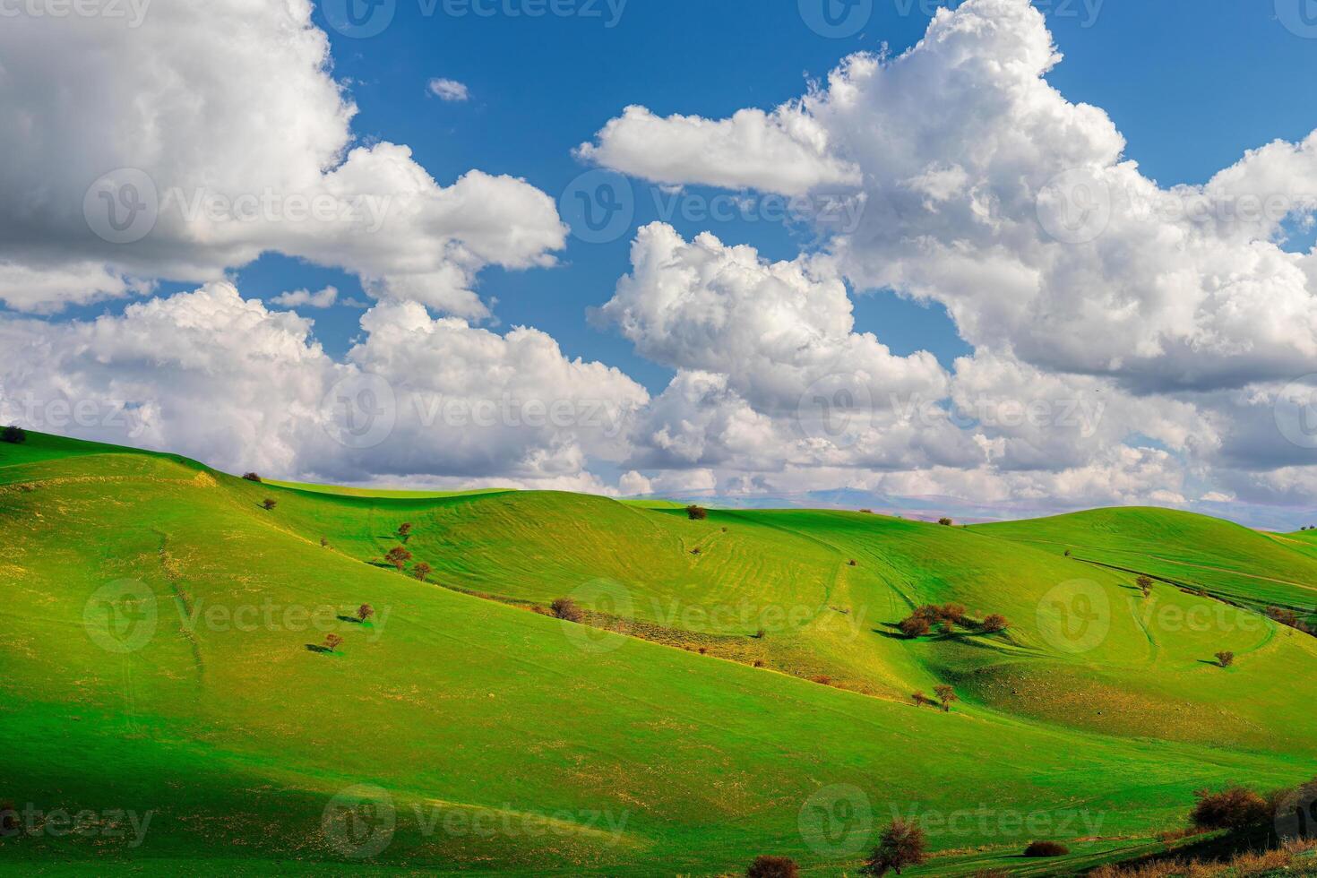 Hills and mountains covered with young green grass and illuminated by the sun on a sunny day. photo