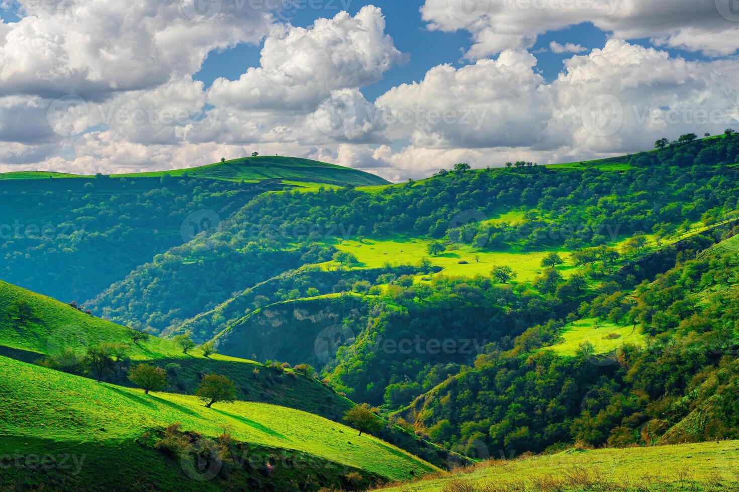 Hills and mountains covered with young green grass and illuminated by the sun on a sunny day. photo