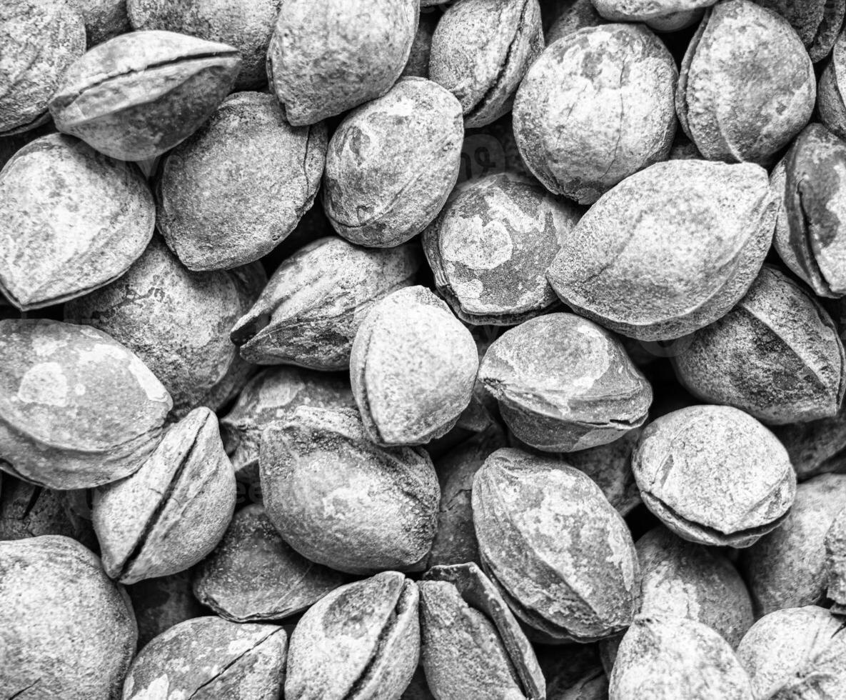 Black and white texture of a pile of apricot kernels in the shell. Background of healthy plant vegan food. Nuts. photo