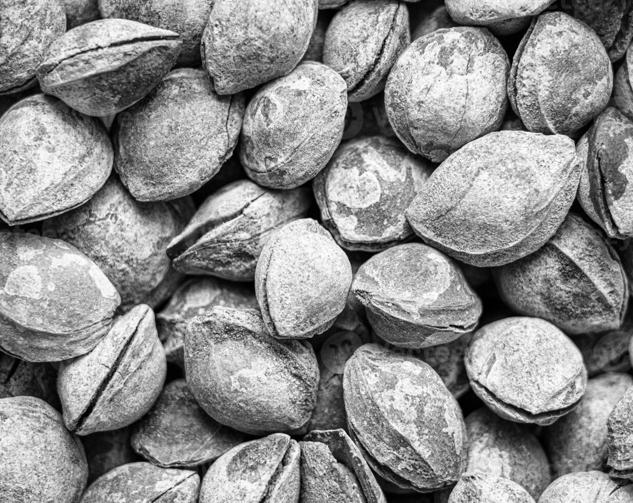 Black and white texture of a pile of apricot kernels in the shell. Background of healthy plant vegan food. Nuts. photo