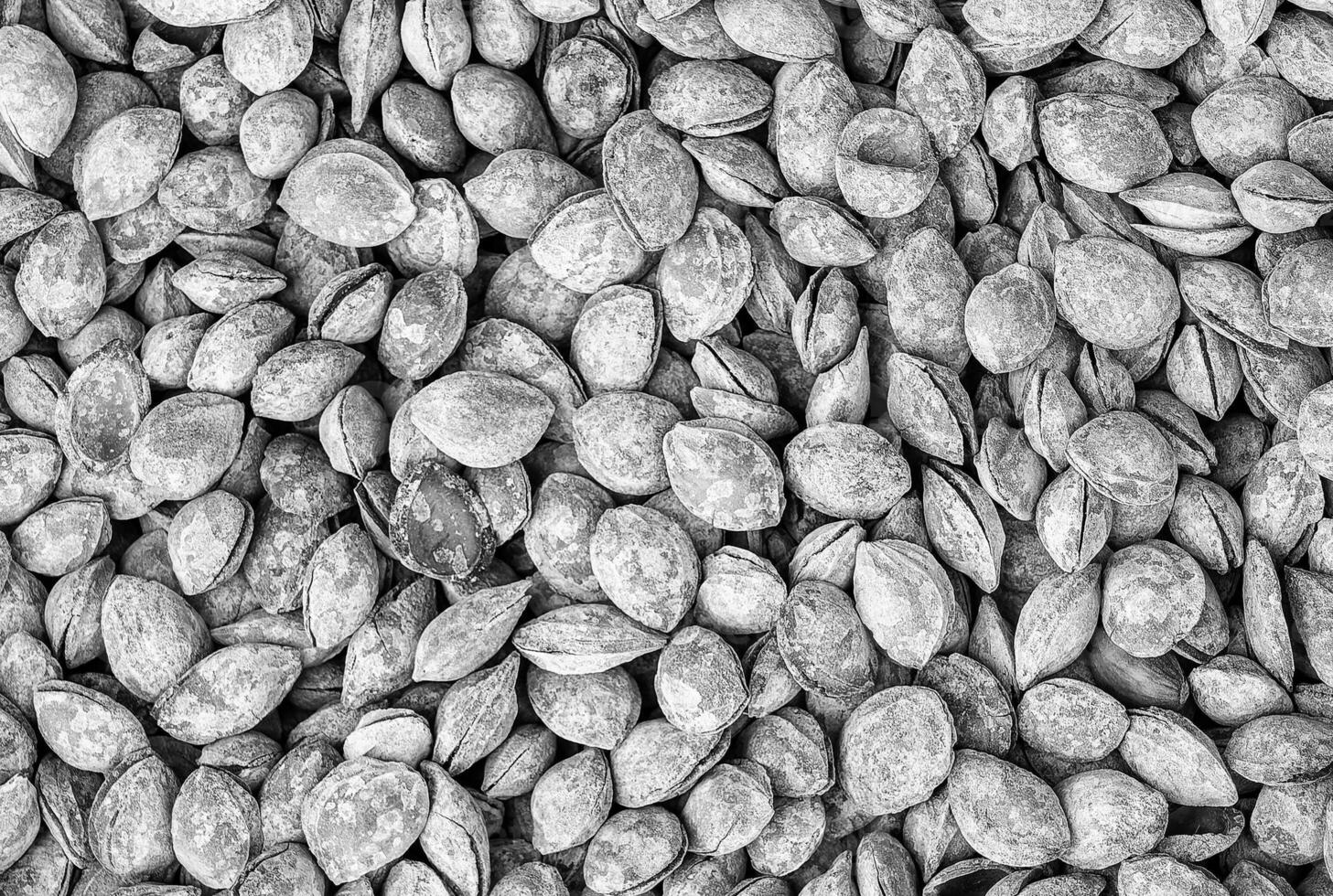 The texture of a pile of apricot kernels in the shell. Background of healthy plant vegan food. Nuts. Black and white. photo