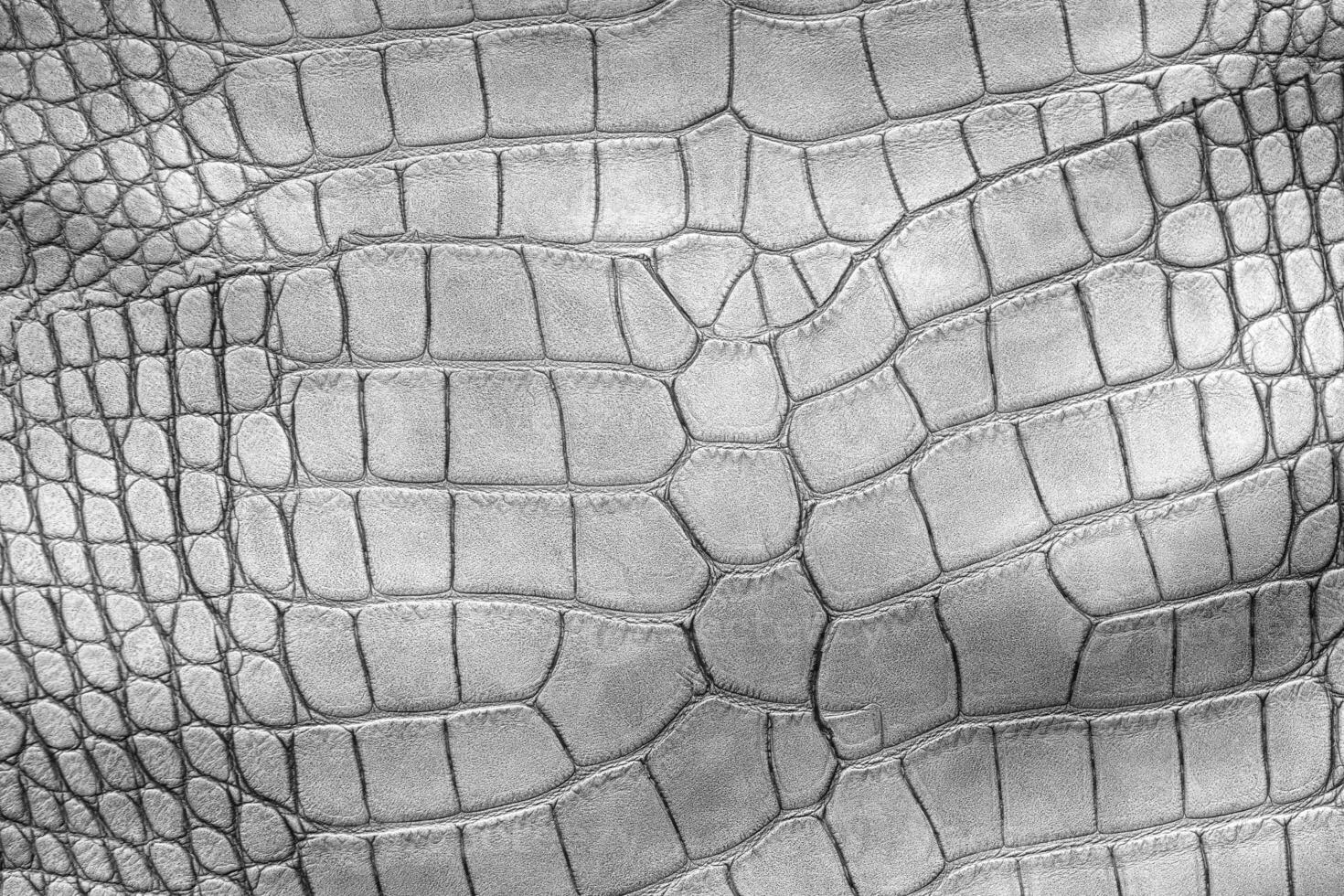 White crocodile or aligator leather texture. Abstract hide background. Black and white. photo