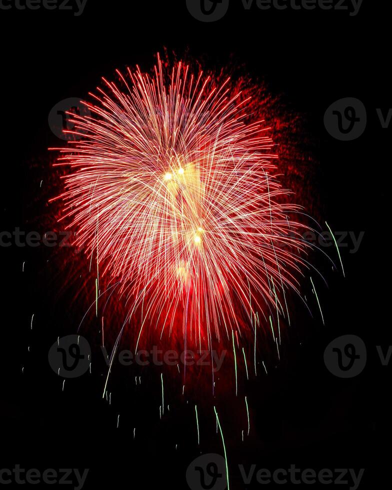 Colorful celebration fireworks isolated on a black sky background. photo