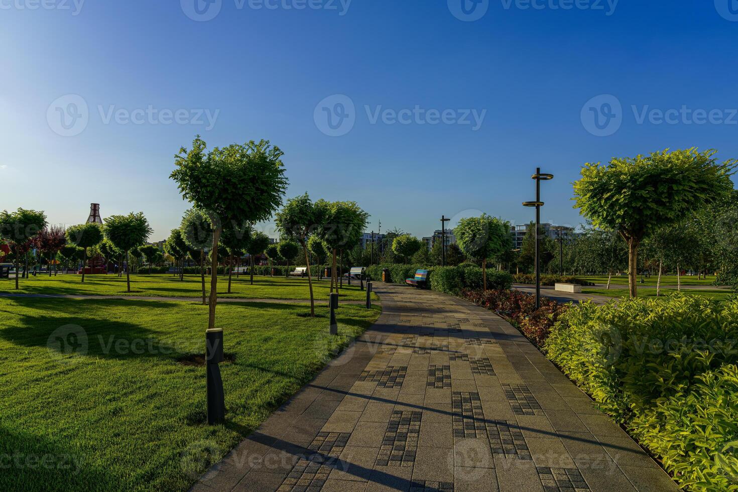 Sunset or dawn in a park with cut trees, pavement and green lawns. photo