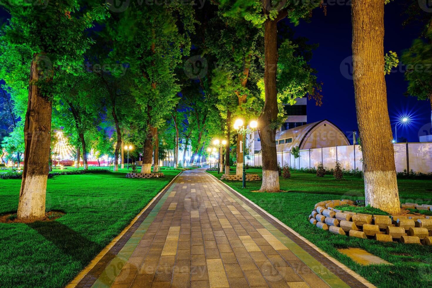 City night park in early summer or spring with pavement, lanterns, young green lawn and trees. photo