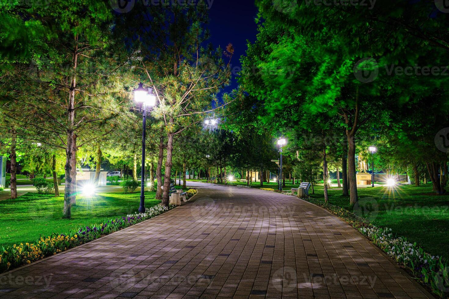 City night park in early summer or spring with pavement, lanterns, young green lawn and trees. photo