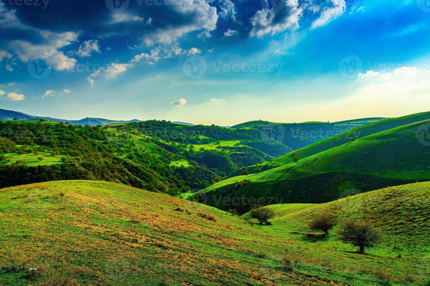 Hills and mountains covered with young green grass and illuminated by the sun on a sunny day. photo