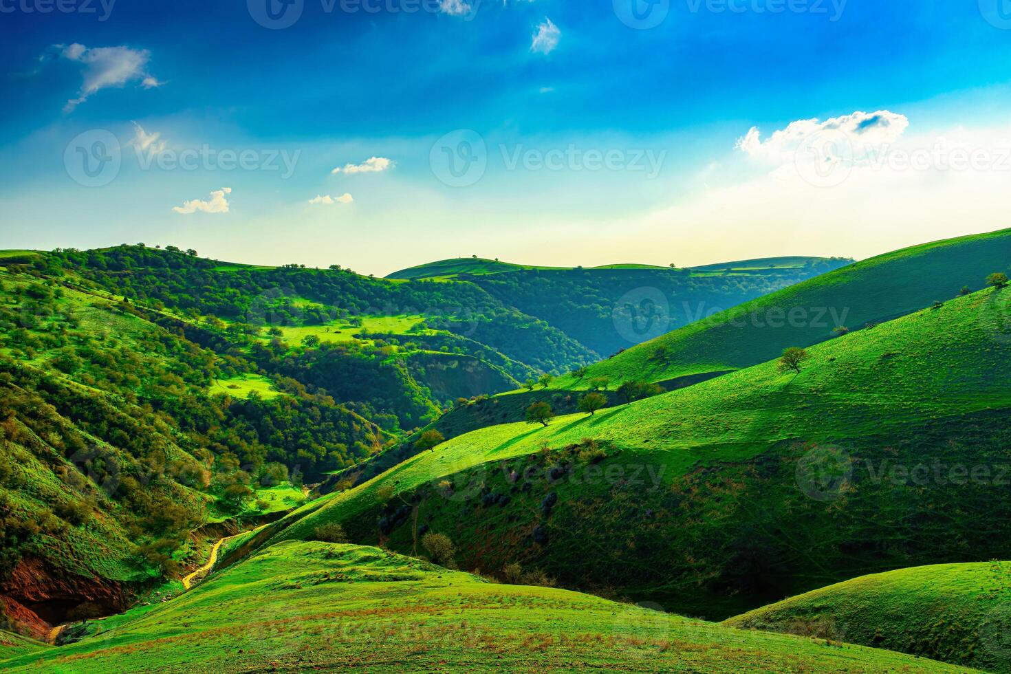 Hills and mountains covered with young green grass and illuminated by the sun on a sunny day. photo