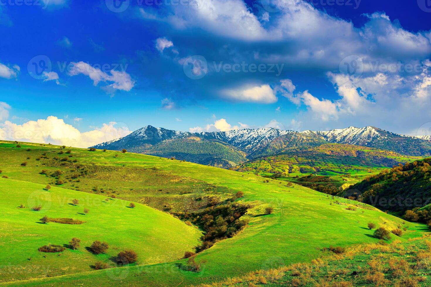 Hills and mountains covered with young green grass and illuminated by the sun on a sunny day. photo