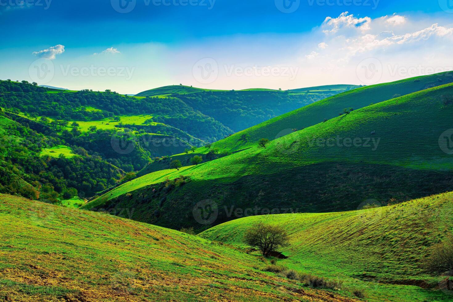 Hills and mountains covered with young green grass and illuminated by the sun on a sunny day. photo