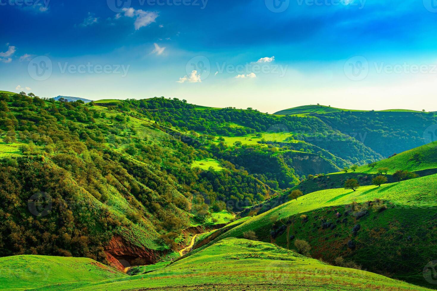 Hills and mountains covered with young green grass and illuminated by the sun on a sunny day. photo