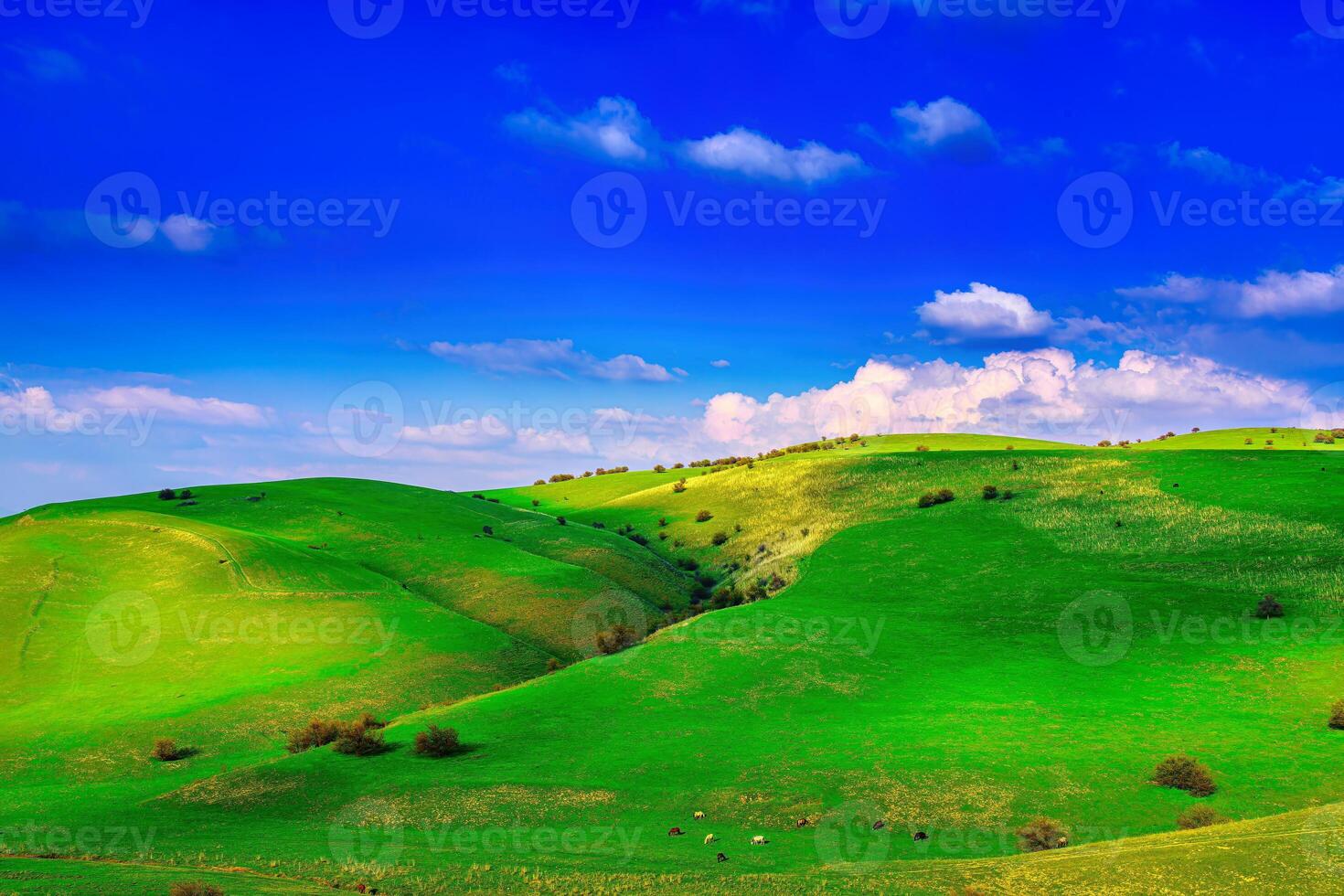 Hills and mountains covered with young green grass and illuminated by the sun on a sunny day. photo