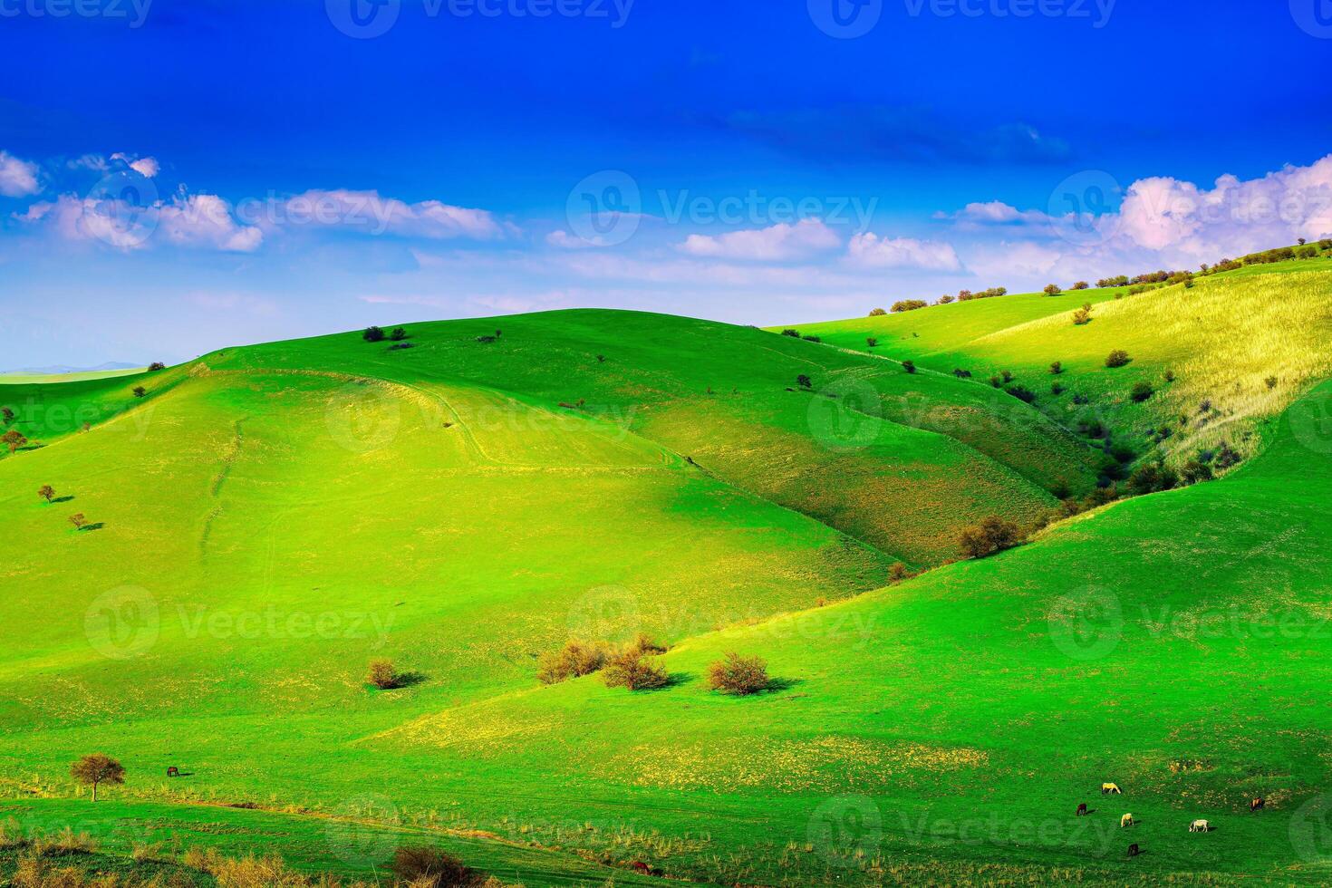 Hills and mountains covered with young green grass and illuminated by the sun on a sunny day. photo