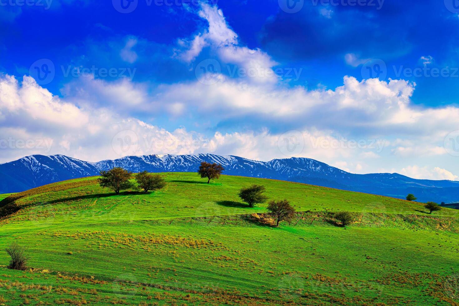 Hills and mountains covered with young green grass and illuminated by the sun on a sunny day. photo
