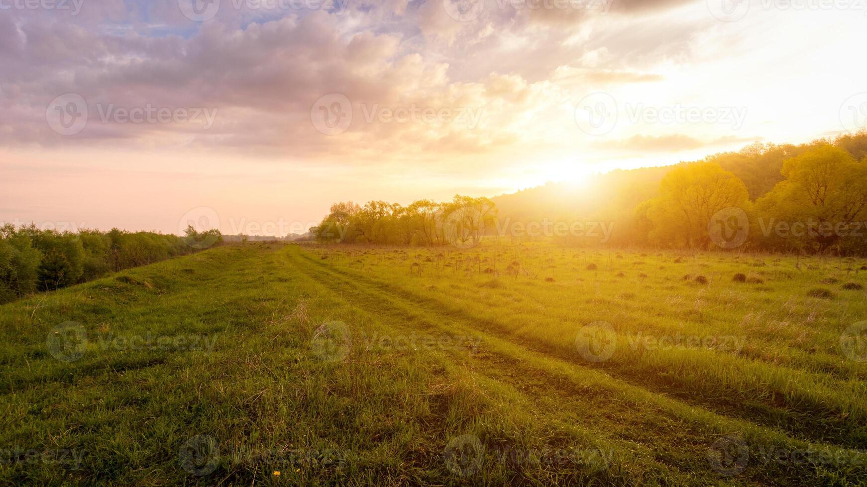Sunset or dawn in a field with green grass, footpath and willows in the background. Early summer or spring. photo