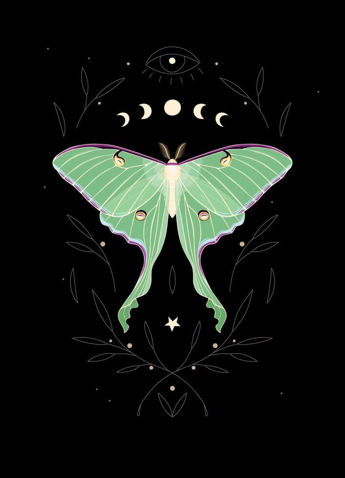 Illustration of high detailed moon moth and moon cycle vector