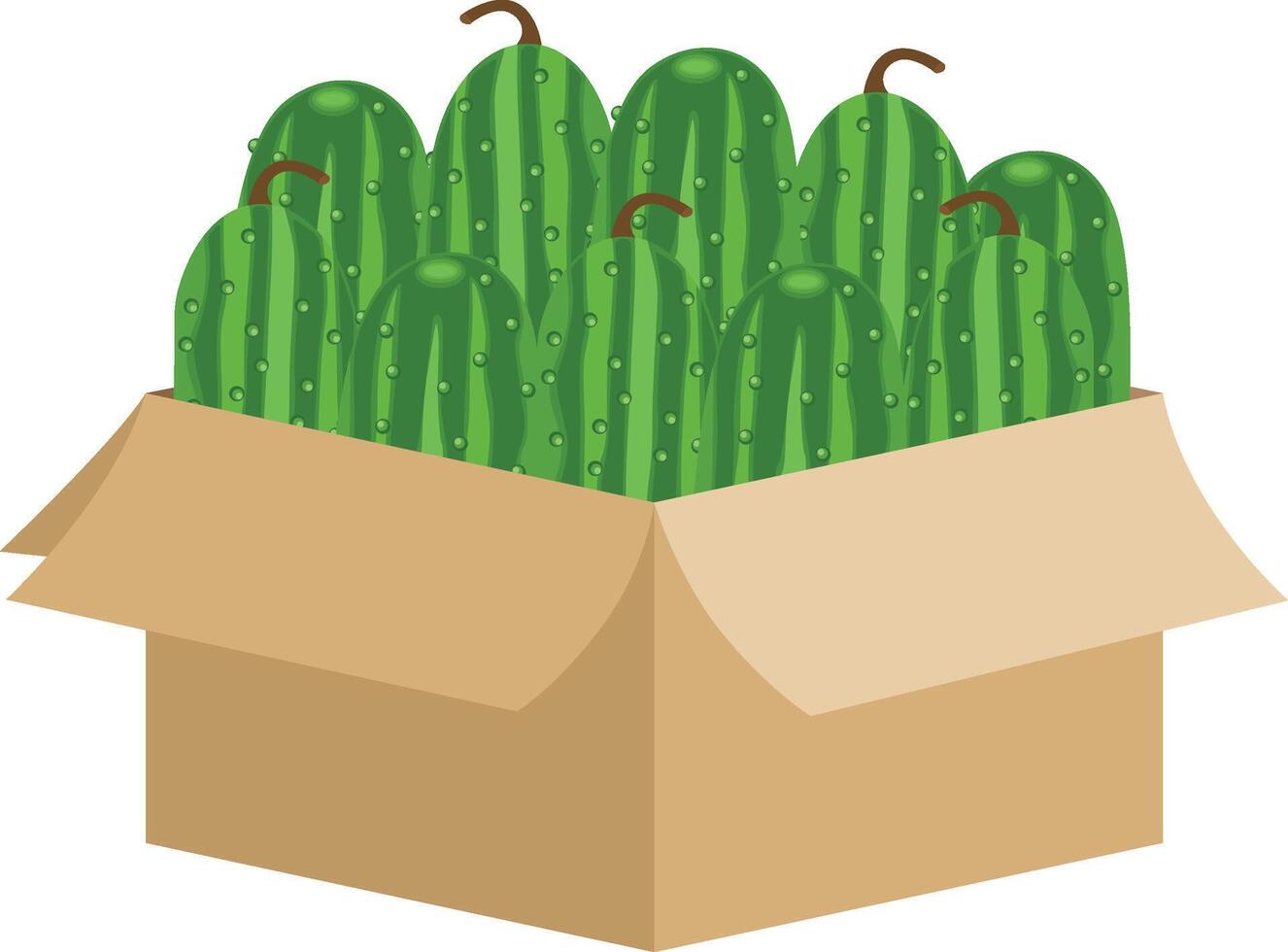 Cardboard box full of fresh cucumbers vector