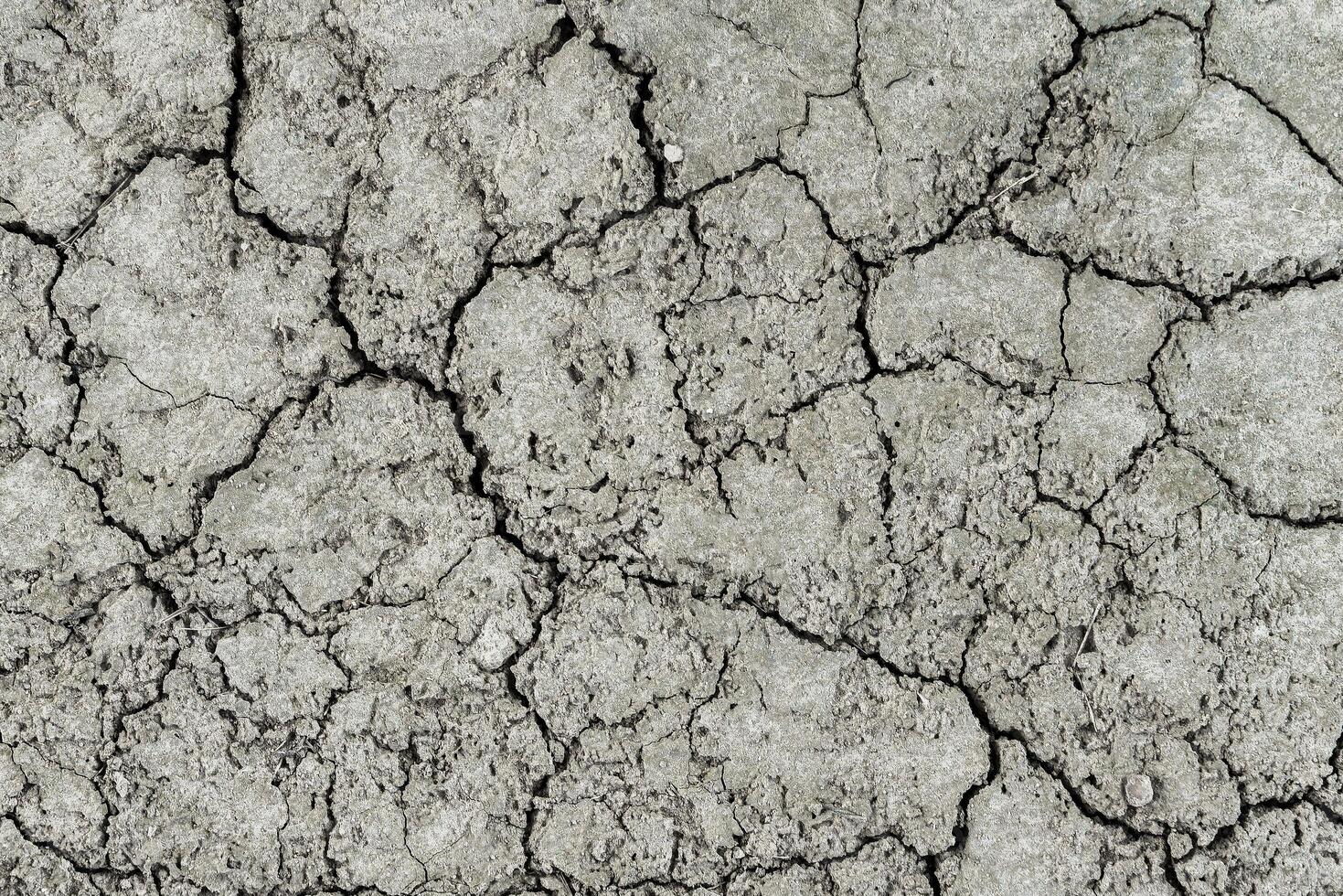 Texture of dry cracked earth. The concept of drought, global warming and climate change. photo