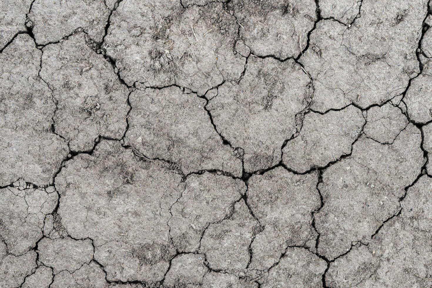 Texture of dry cracked earth. The concept of drought, global warming and climate change. photo