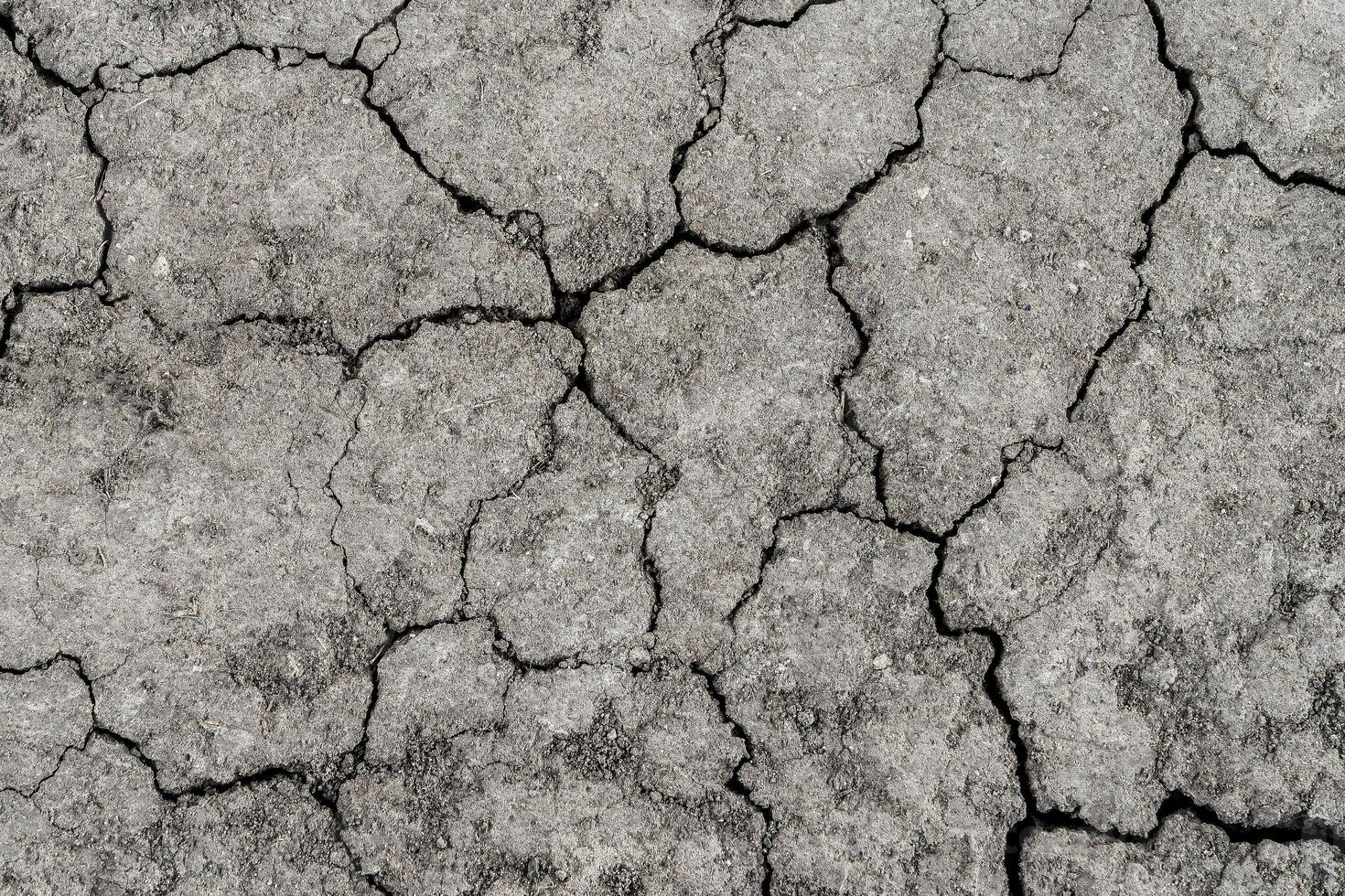 Texture of dry cracked earth. The concept of drought, global warming and climate change. photo